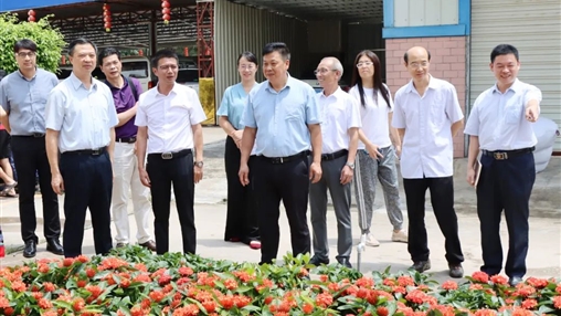 自治區政協(xié)常委、梧州市政協(xié)主席黃振饒蒞臨百裕集團走訪(fǎng)調研